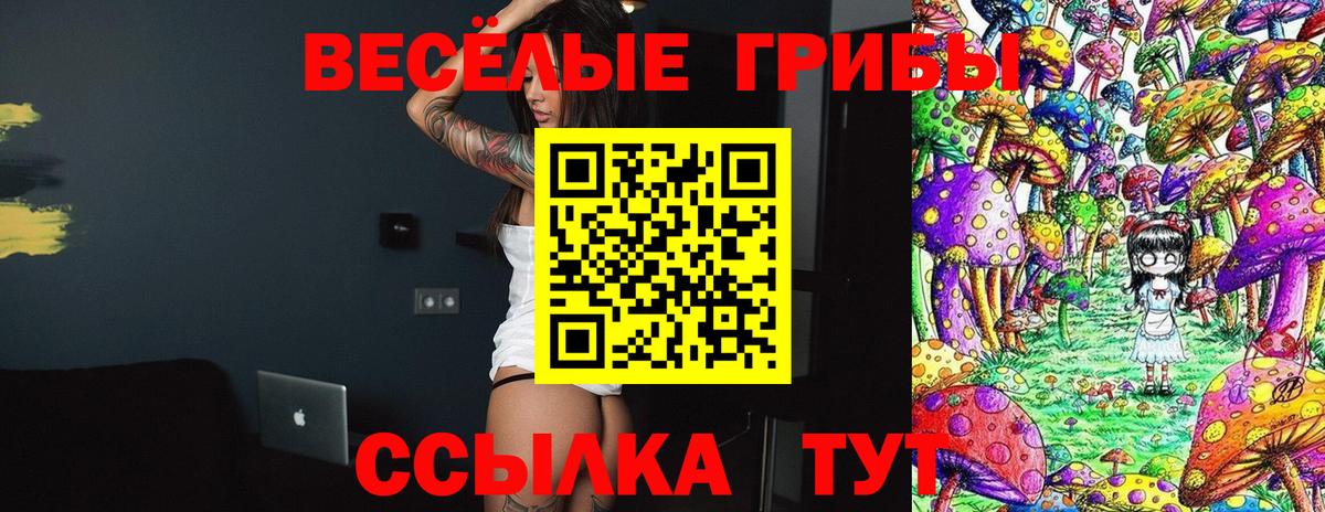 Галлюциногенные грибы MAGIC MUSHROOMS Астрахань